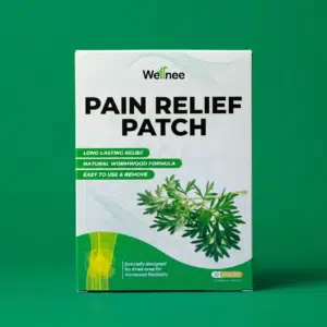 Wellnee Pleisters verpakking met 10 kruidenpleisters voor de knie